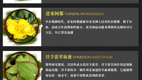 vigrx-plus_14 vigrx-plus_14