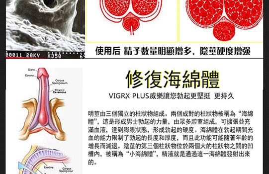 vigrx-plus_19 vigrx-plus_19